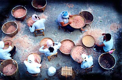 乡镇风采:东极镇