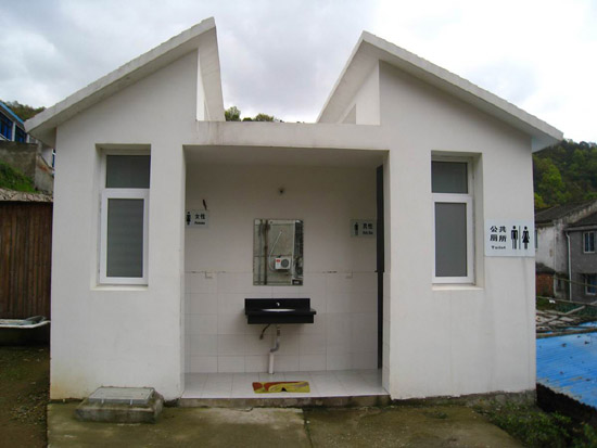 ———创建国家卫生城市迎评工作点滴; 农村露天厕所