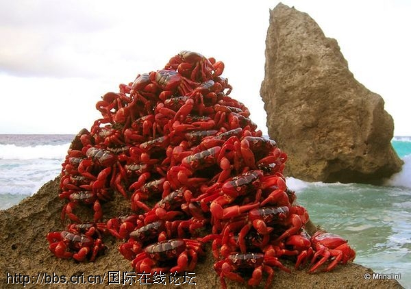 �ҿ����޺�зǨ��֮��