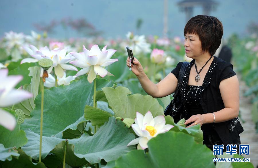 �����ͺ� 