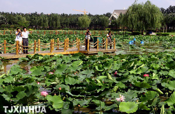 �Ļ���̬���ܻ�ӭ