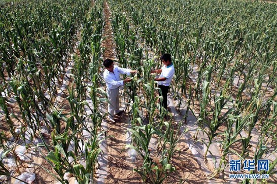 ���໷�ش󺵳���