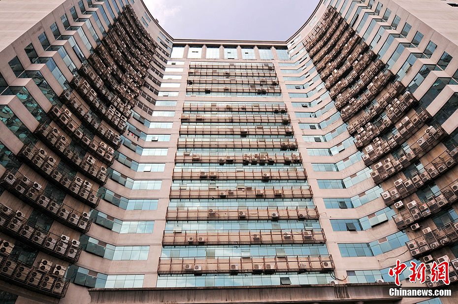 ����ţ�յ�ǽ����������