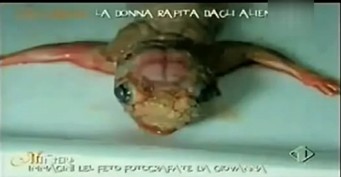 Ů�Ӳ�����������ŷ��