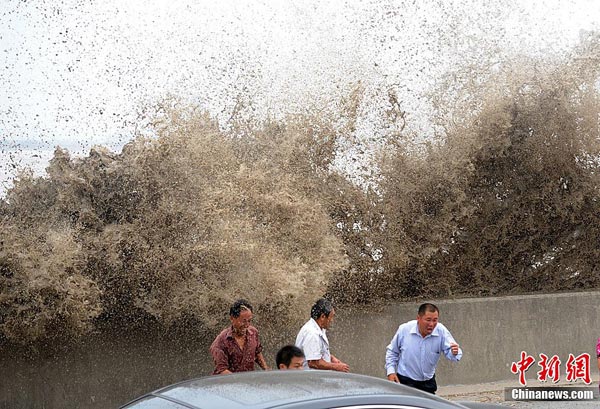 Ǯ�����󳱡�׷�򡱹���