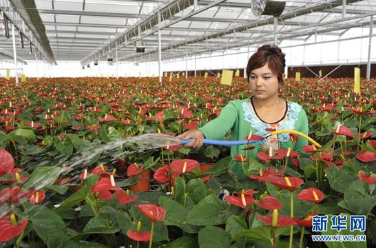 �ִ��������ܹ�����