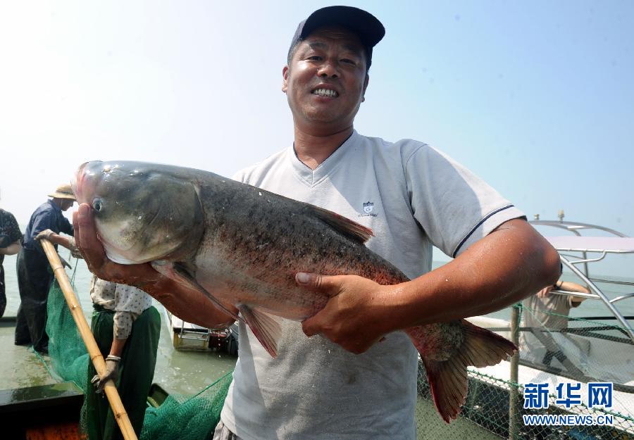 ̫���������������ʽ����