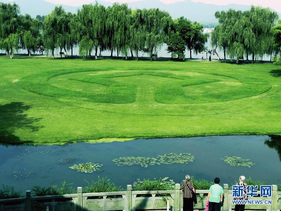 �����Ų���ʶ�������Ӻ���