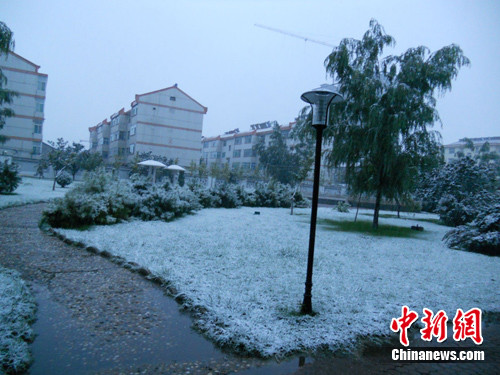 ɽ����˳���·�ѩ