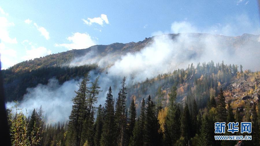 �½�����̩ɭ�ֻ���