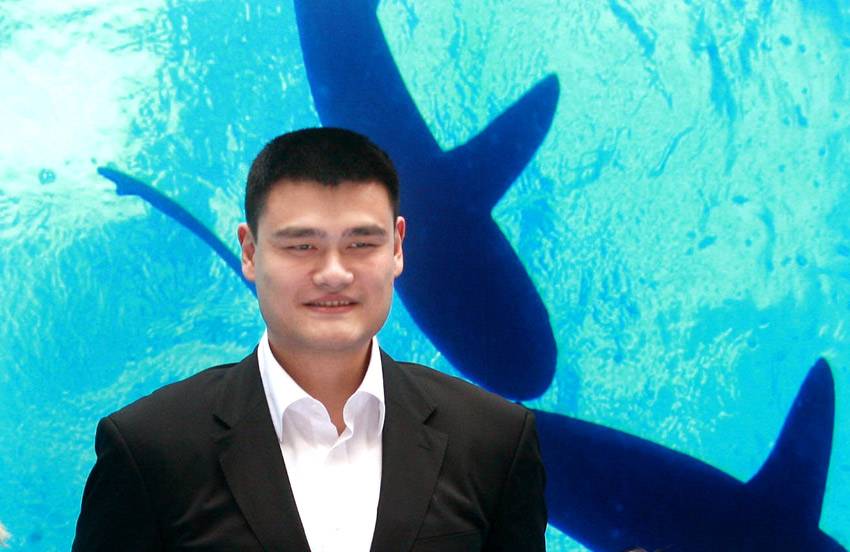 Ҧ�������������ʹ��