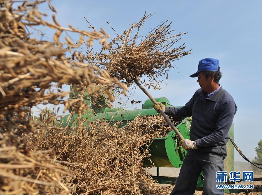 ����ʡ�󶹷�������