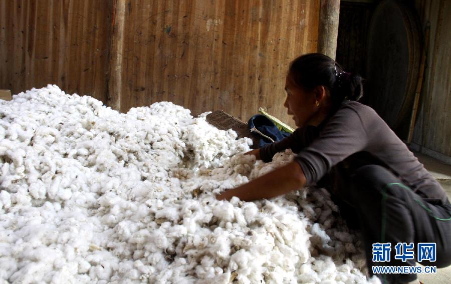 �޻��г���������