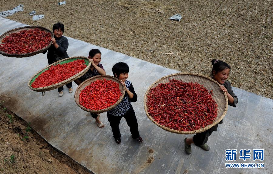 ��ʹ��˼ʹ��ԡ������