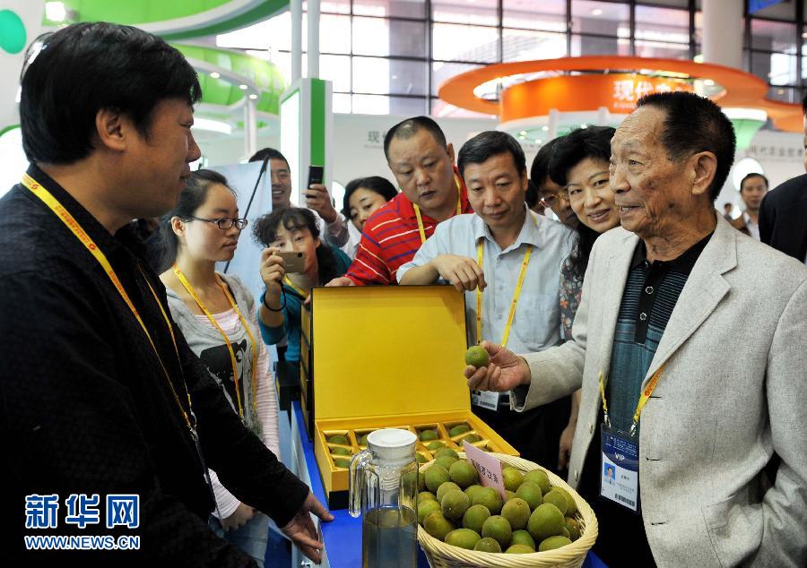 ���ӽ�ˮ��֮����Ԭ¡ƽ