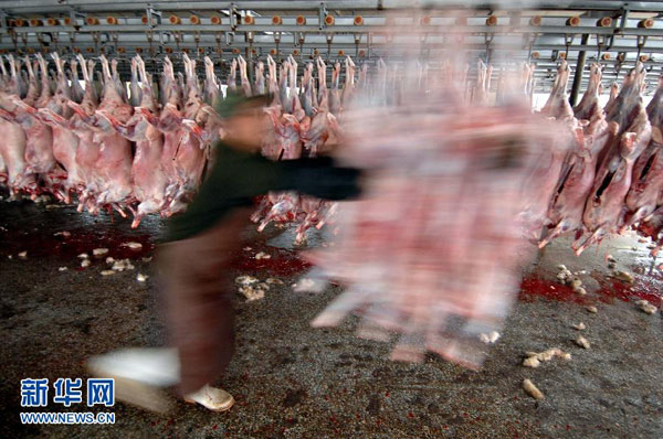 �Ž�Ϊ����ֹ? 