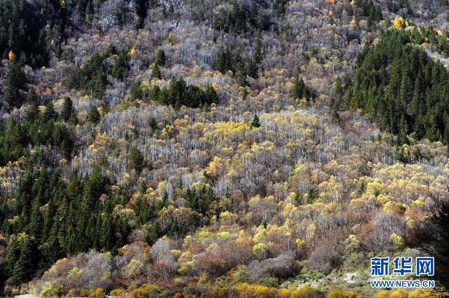 ��կ�������뻭��