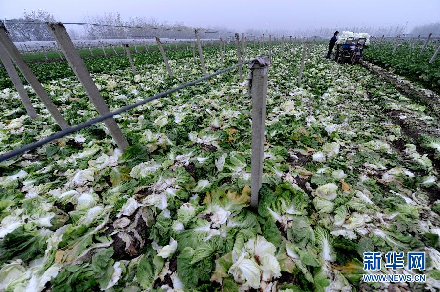 ���˳���˼�