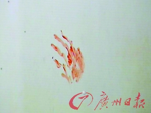 ��ϱ�峿���л���