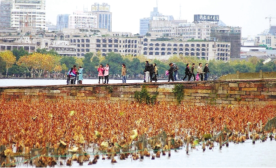 ��ɪ���������