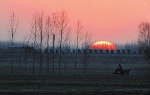 ɽ��Ϋ����̨�ȵؽ���ѩ