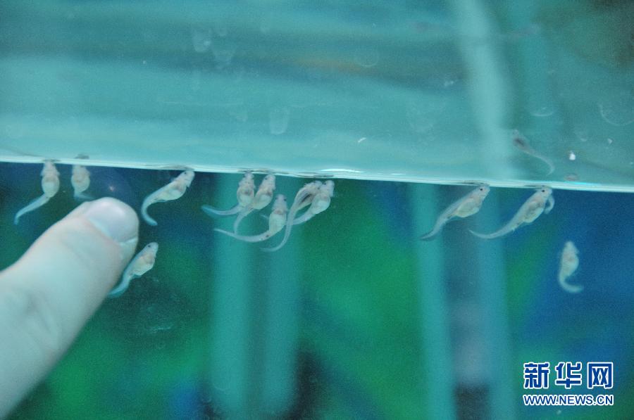 �л��������ȫ�˹���ֳ