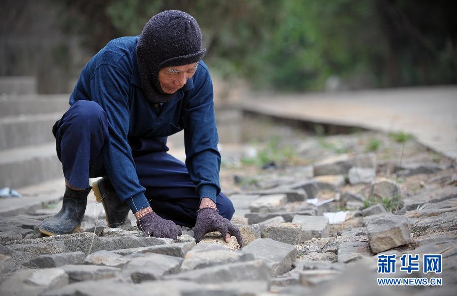 ��Ѯ������·��ѧ��ʮ����