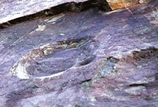 �״η��ֿ����㼣��ʯ