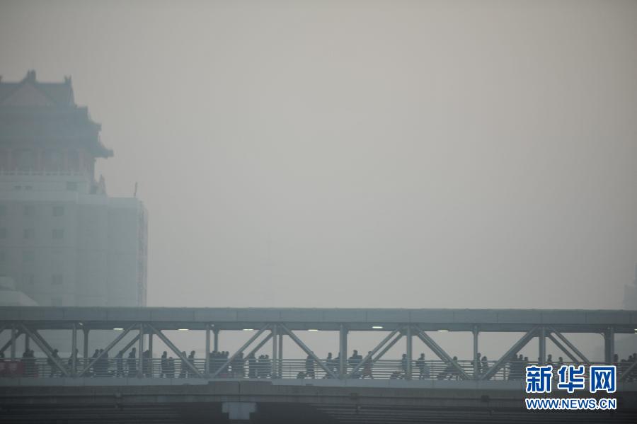 ����������Ϯ���� 