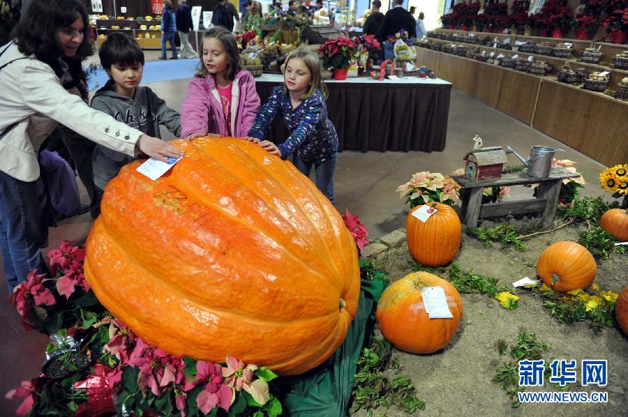 �����ɫ������ũ����