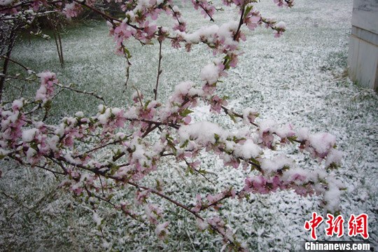 乌鲁木齐南山5月降雪
