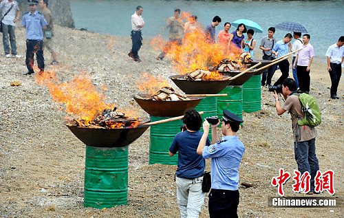 深圳海关集中销毁毒品555公斤