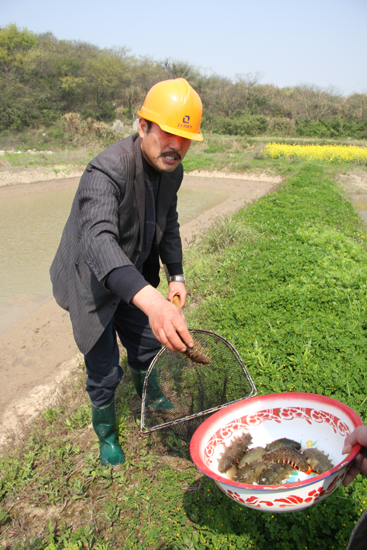 六横围塘试养海参获成功